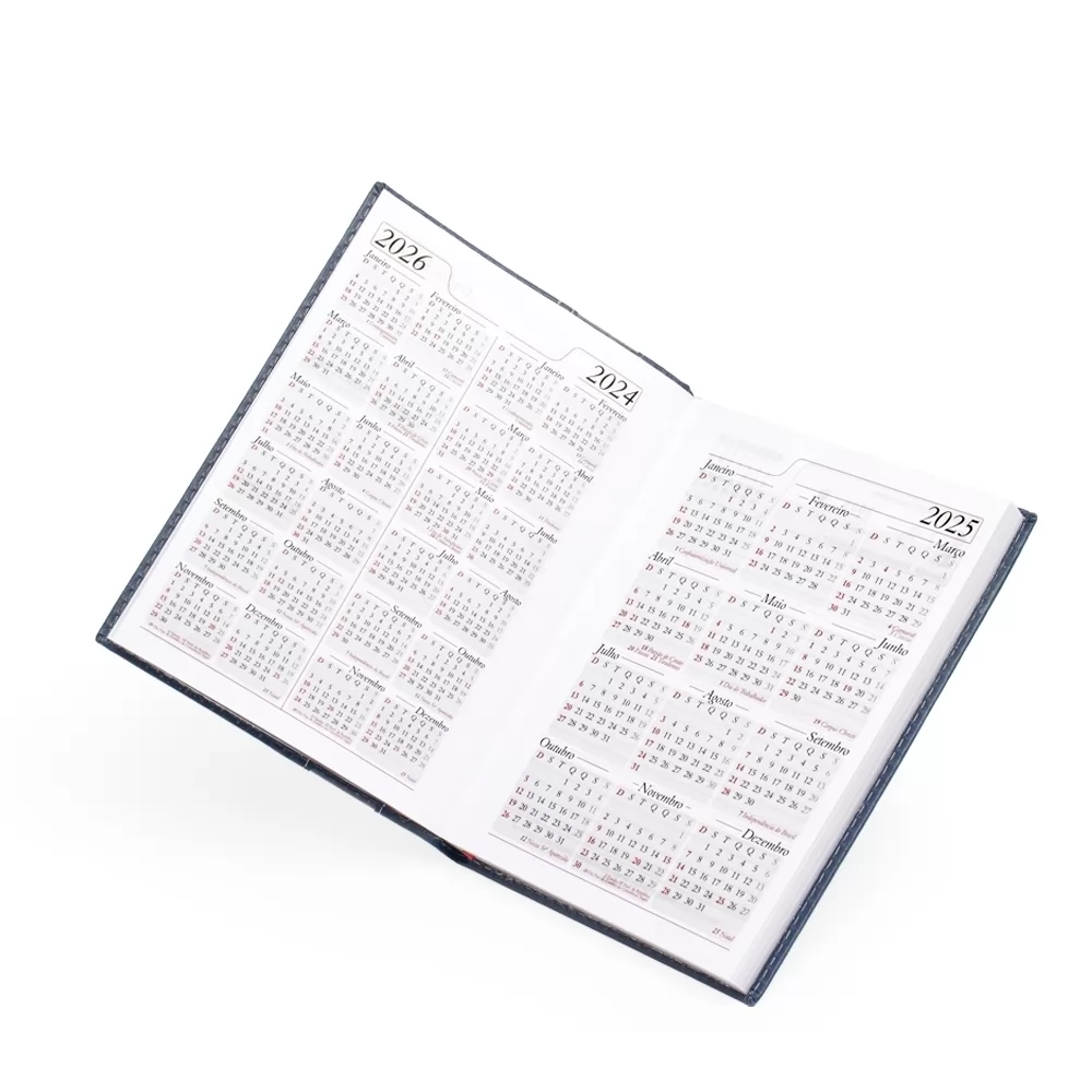 Agenda Diária 2019