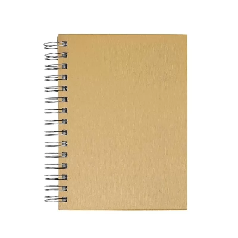 Agenda Diária 2019