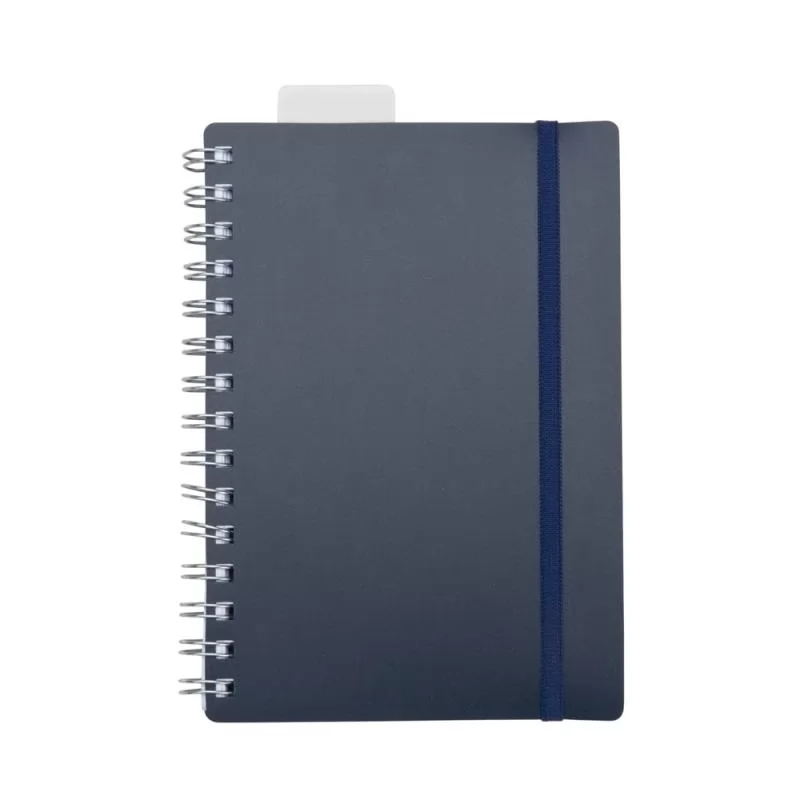 Agenda Diária 2019
